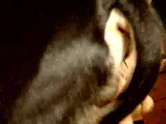 In this exciting beast fuck movie, an enthusiastic dog gangbanges a filthy, overweight floozy's juicy cunt.